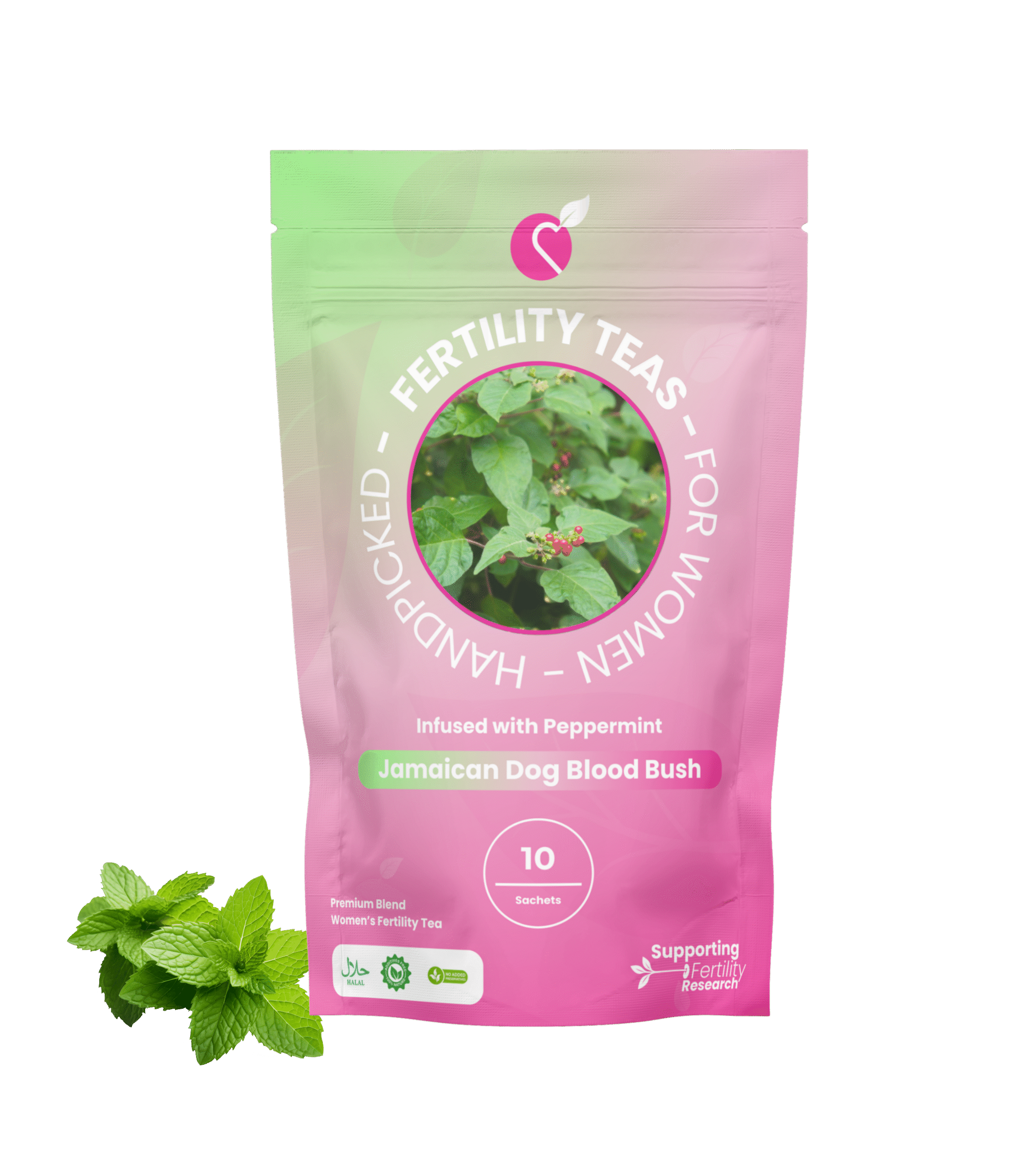 Dog Blood Bush Tea Infused With Peppermint Product Image