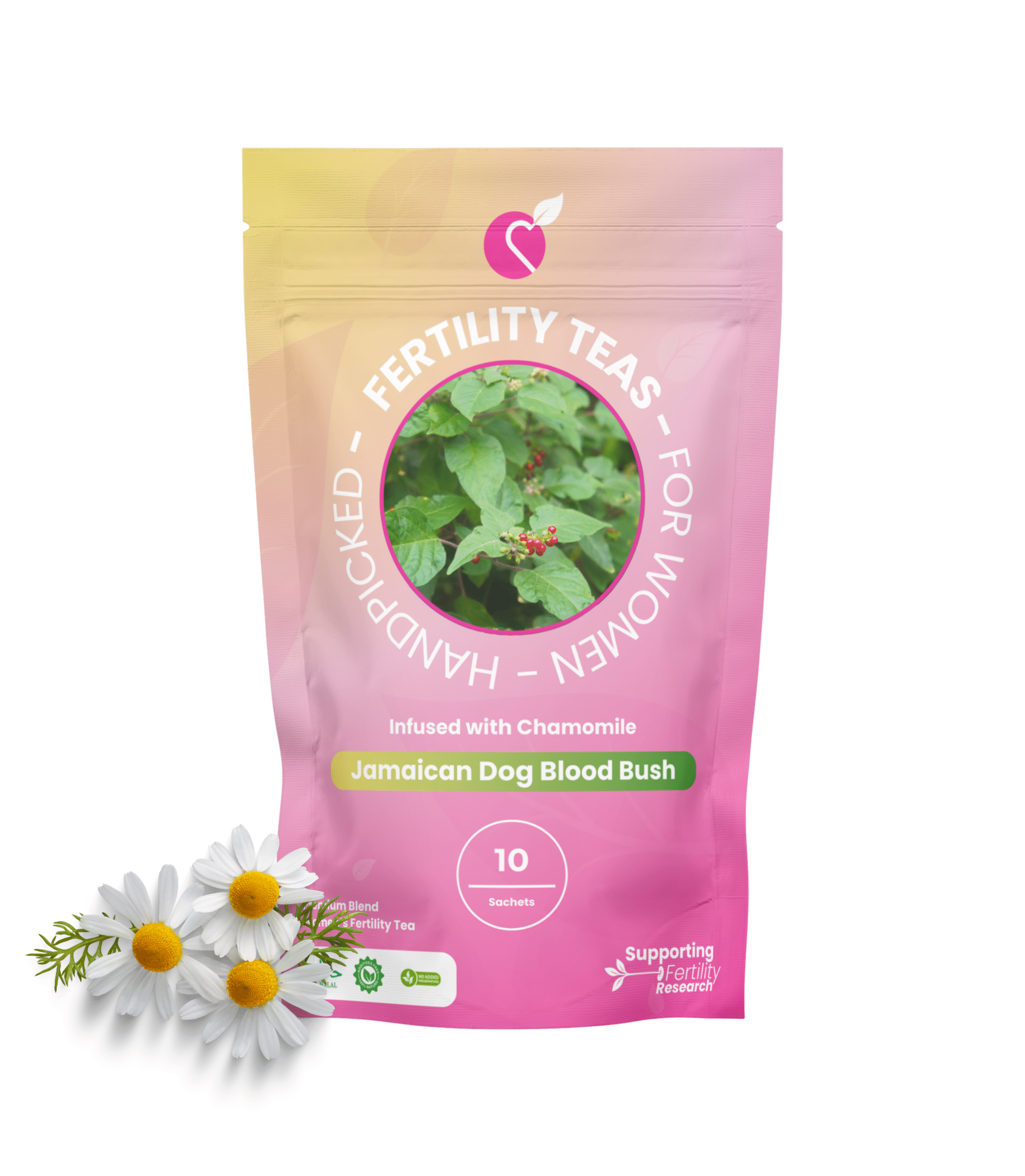 Dog Blood Bush Tea Infused With Chamomile Product Image